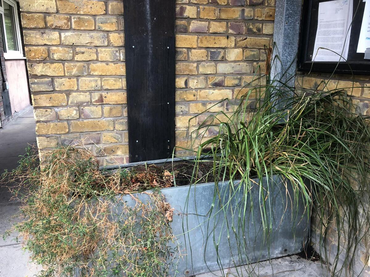 Photo from debmitchener(8)